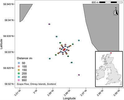 Evaluation of Polycyclic Aromatic Hydrocarbon Pollution From the HMS Royal Oak Shipwreck and Effects on Sediment Microbial Community Structure